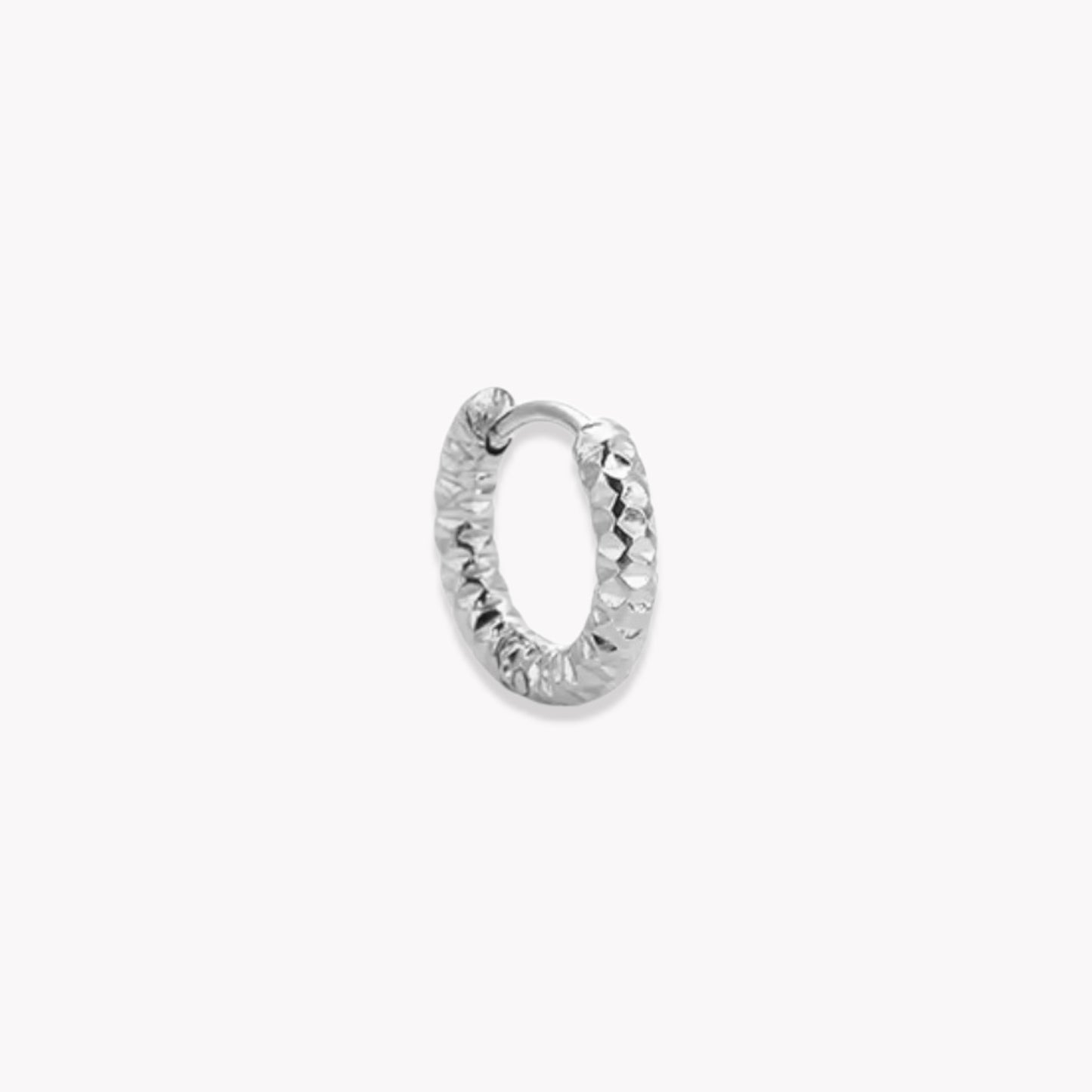 Silver Lexi Hooped Earrings