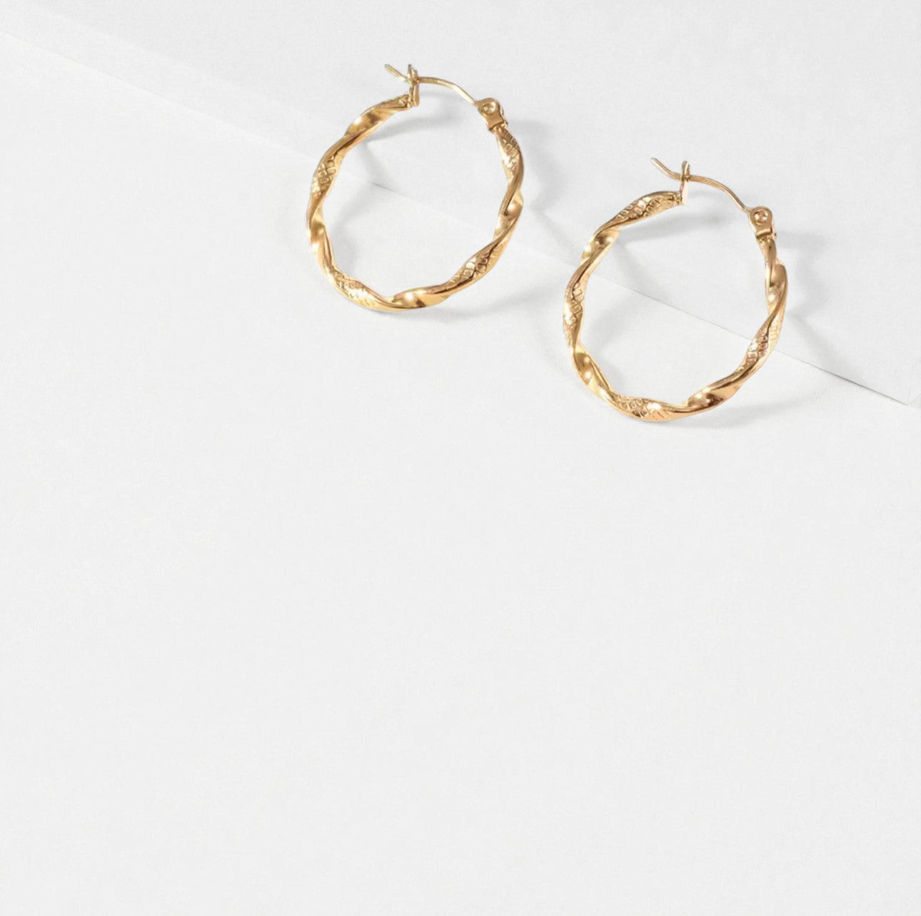 Twist Hooped Earrings