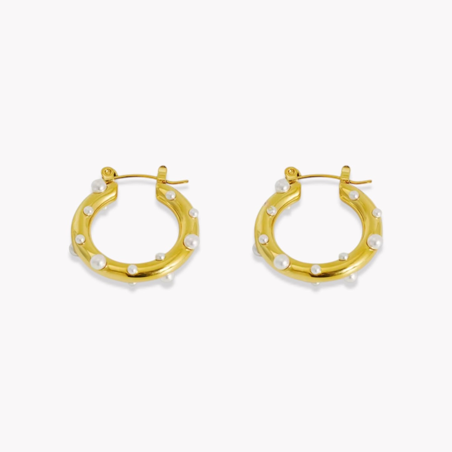 Pia Hooped Earrings